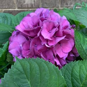 Meet your Posher, AB.